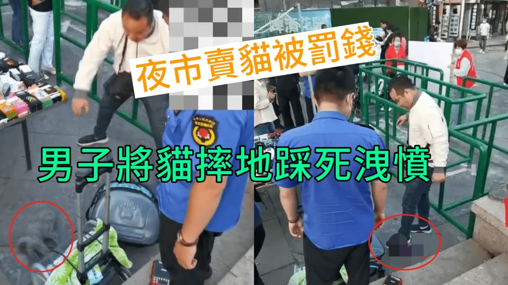 男子當眾將貓摔地再用腳踩死。網圖