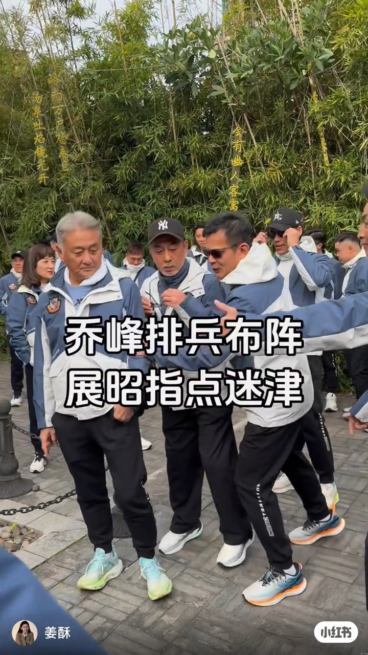 黃日華動口又動手，林迪安似有不滿。