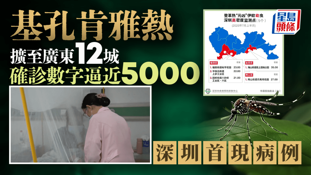 基孔肯雅熱｜深圳首現確診病例  廣東12城增至4824宗 哪兒最高危？