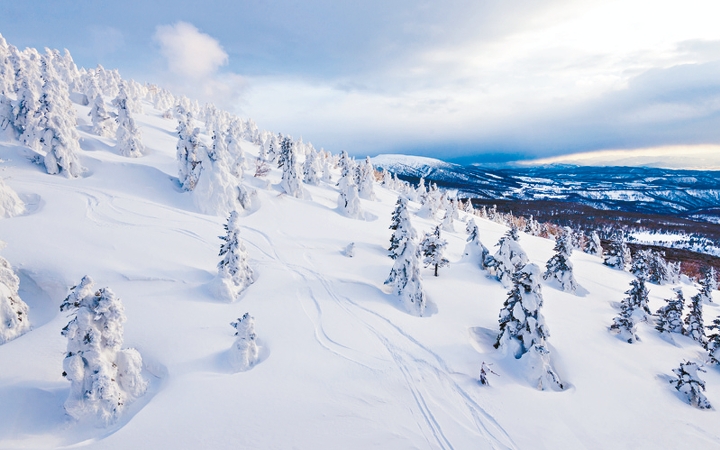 乘八甲田山纜車登山,可居高臨下賞到壯觀的樹冰奇景。