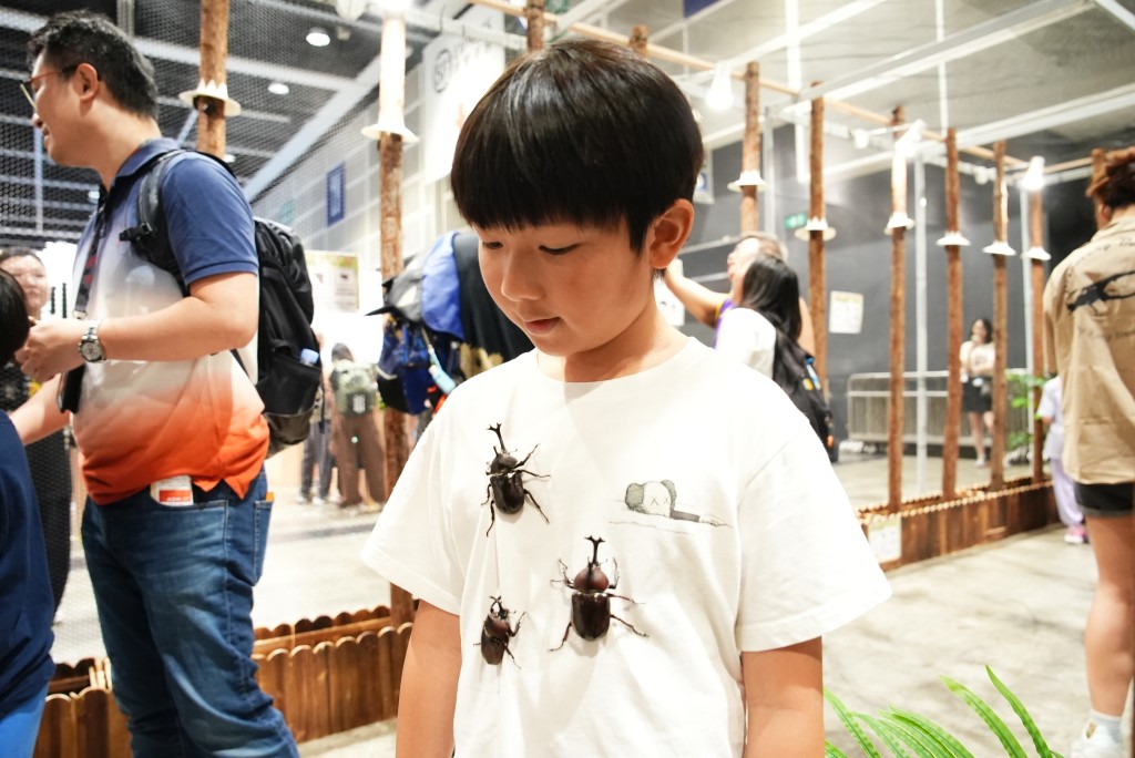 大膽男孩讓獨角仙在衣服上自由爬行，親身感受昆蟲的奇妙觸感。