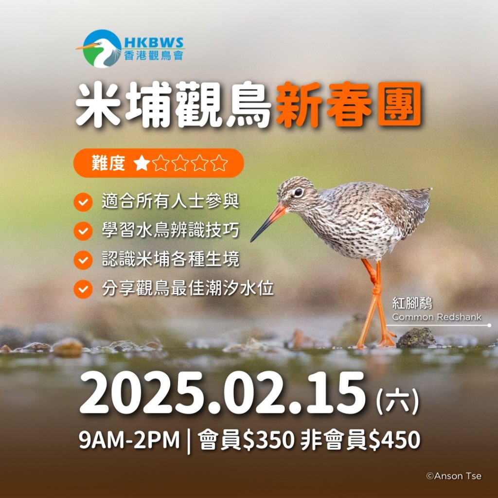 （圖片來源：fb@香港觀鳥會）