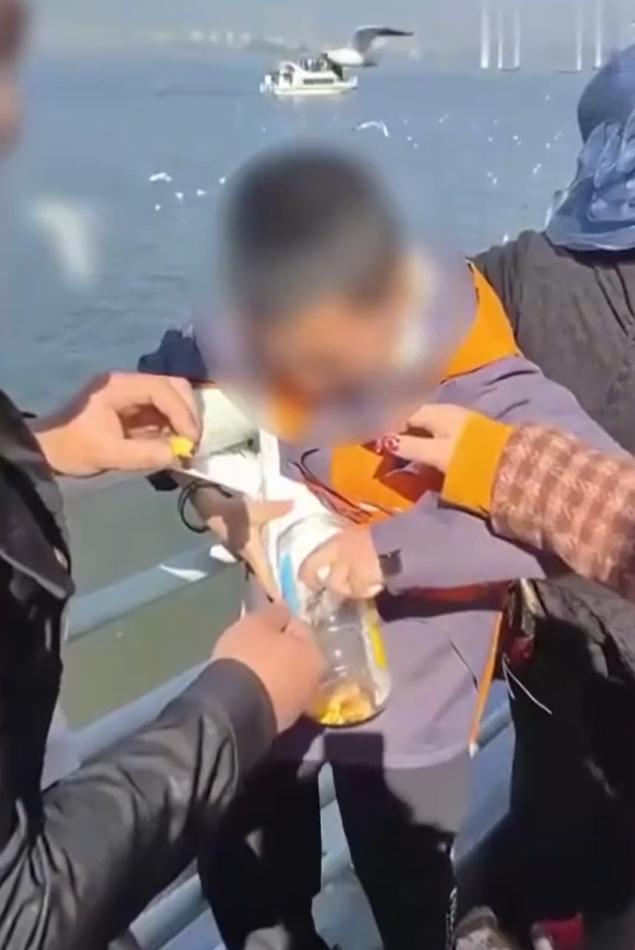 男童抓了一隻海鷗，圖將牠塞入透明膠罐。 網片截圖