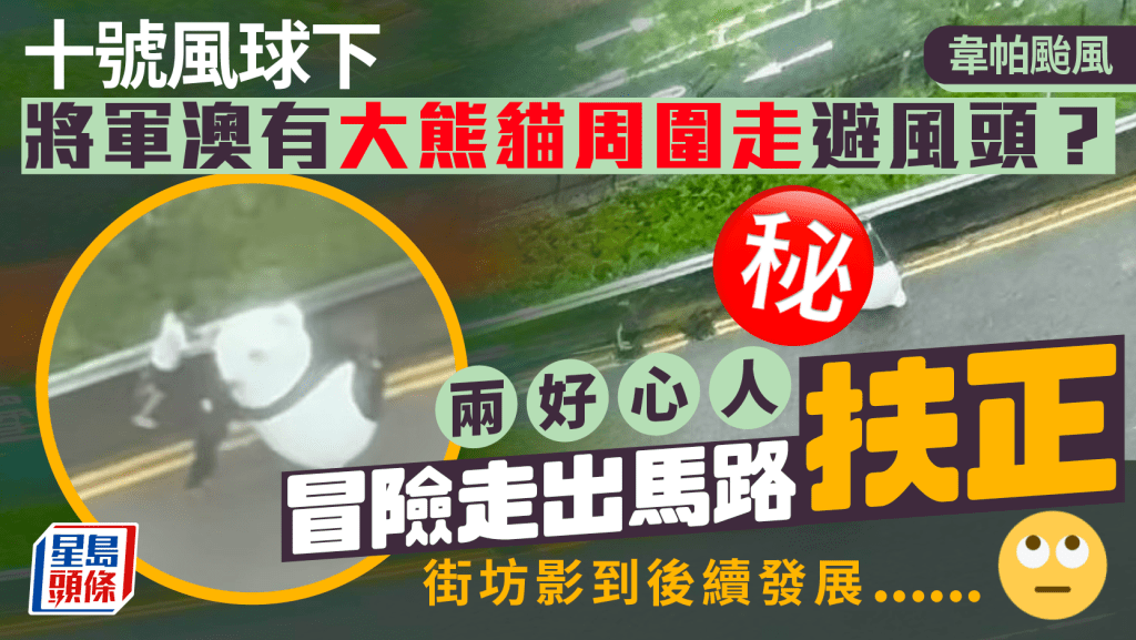 韋帕颱風｜十號風球下 將軍澳有大熊貓周圍走避風頭？ 好心人冒險扶正 街坊影到後續發展......