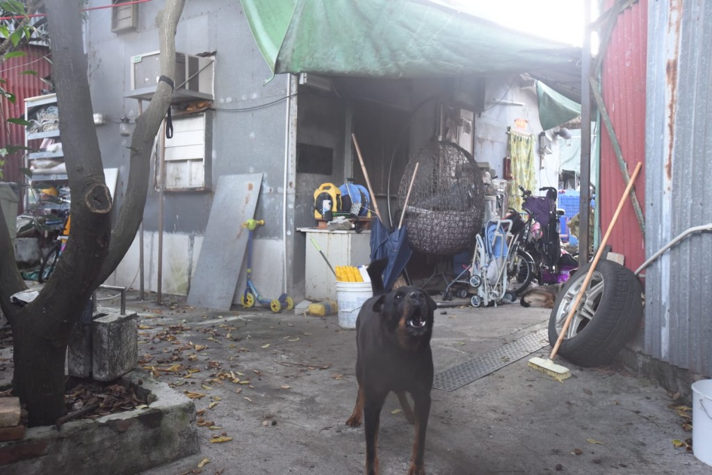涉案村屋單位