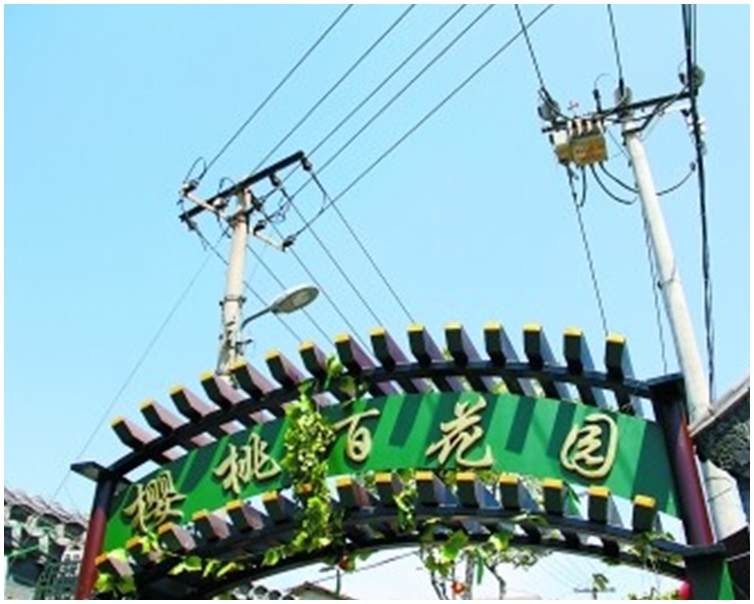 昔日屋頂上電線縱橫交錯大煞風景。
