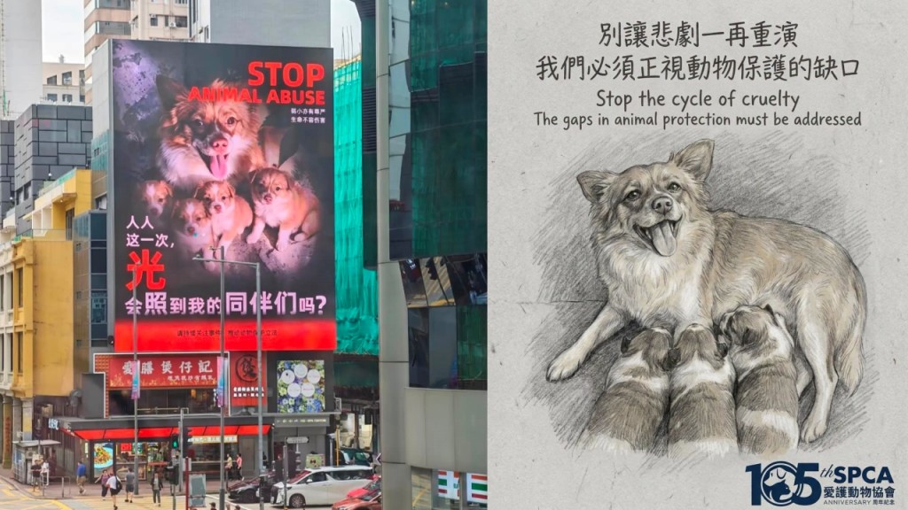 揭陽虐狗案｜旺角現巨幅廣告籲關注 愛協向港警舉報影片 避免模仿犯罪
