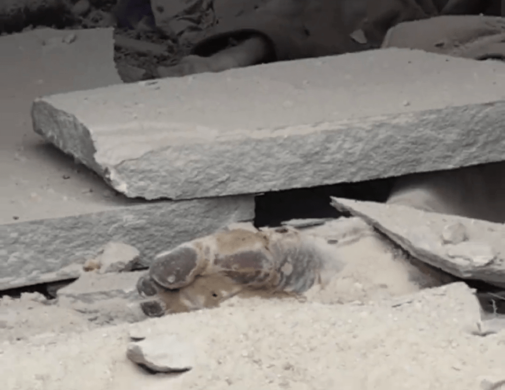 網片顯示被發現的乾屍。 網片顯示被發現的乾屍。