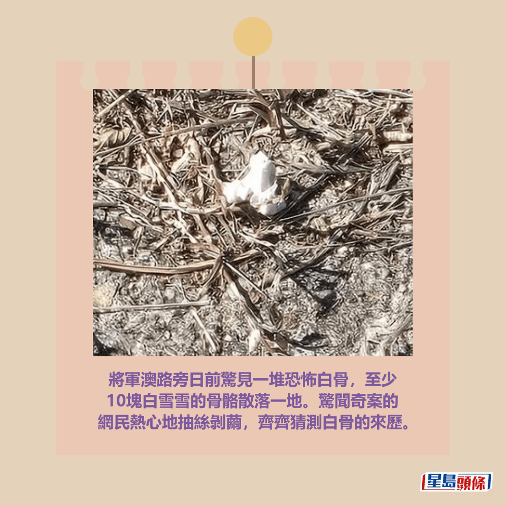 facebook截圖（資料來源：Patty Lee＠facebook將軍澳主場）