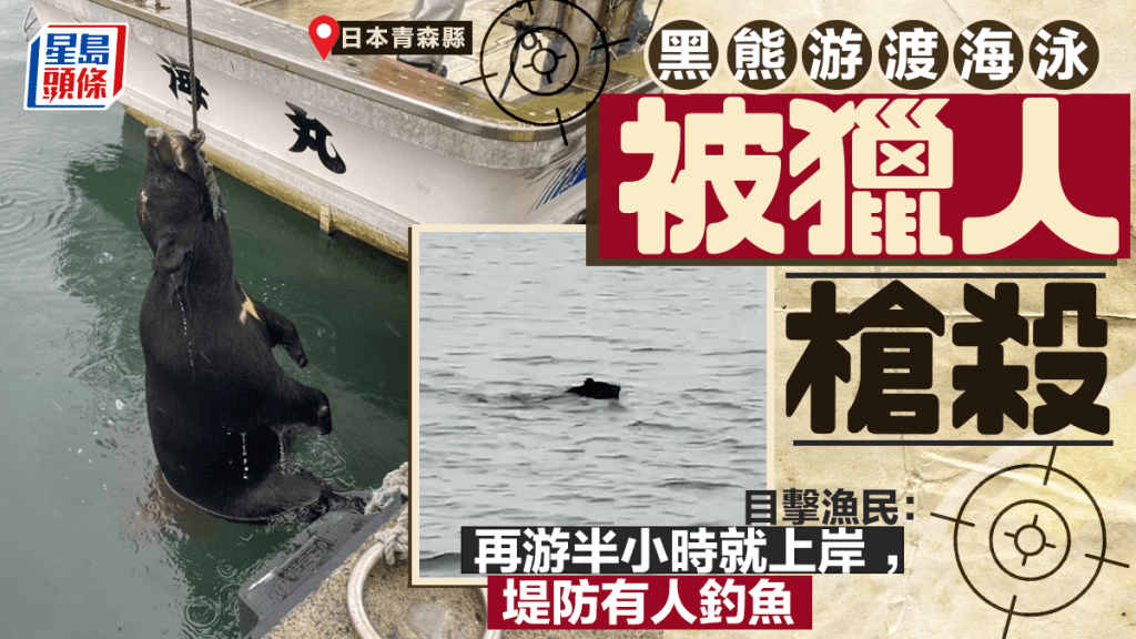 日本熊出沒｜青森縣驚見黑熊游泳渡岸 獵人成功槍殺：堤防有人在釣魚