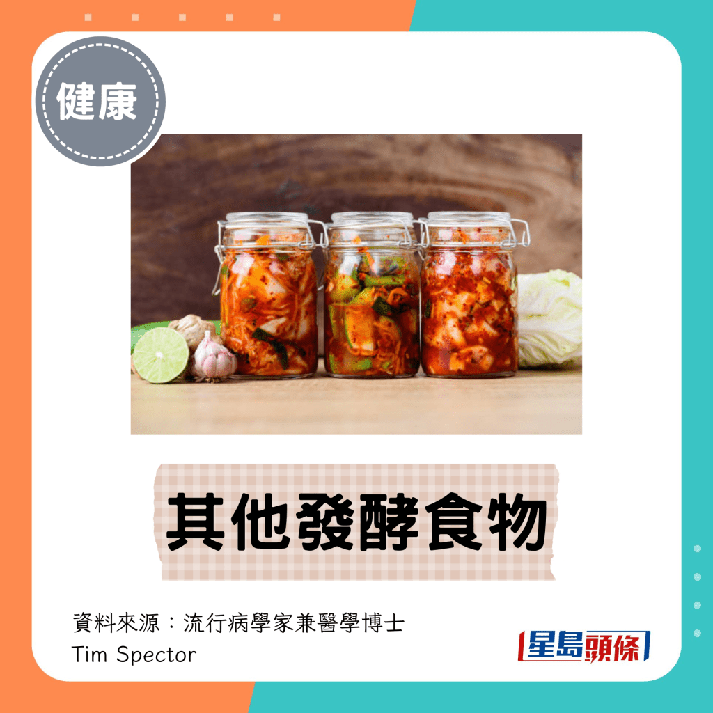 5. 其他发酵食物