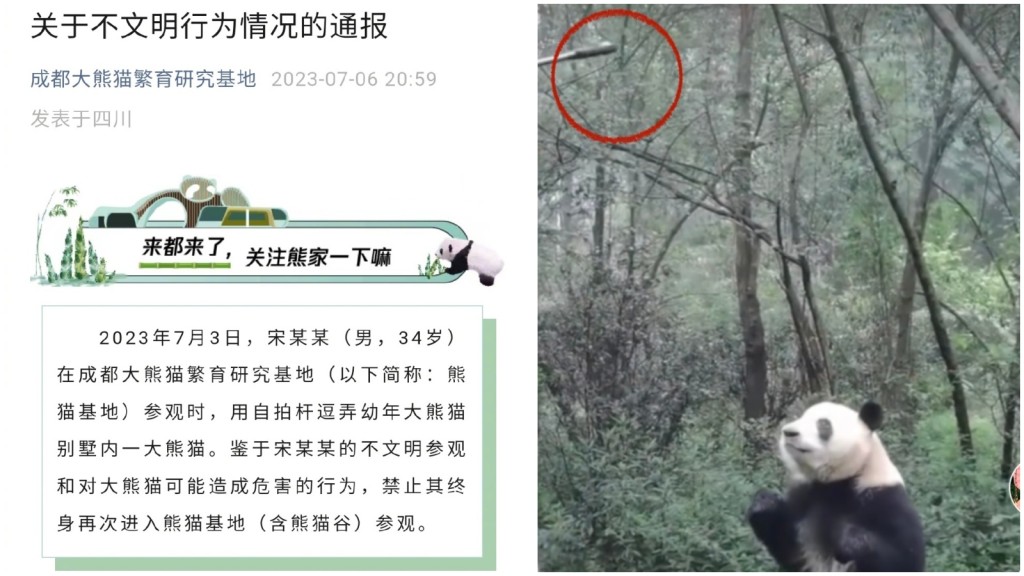遊客用自拍桿逗熊貓被罰不能再入熊貓基地。