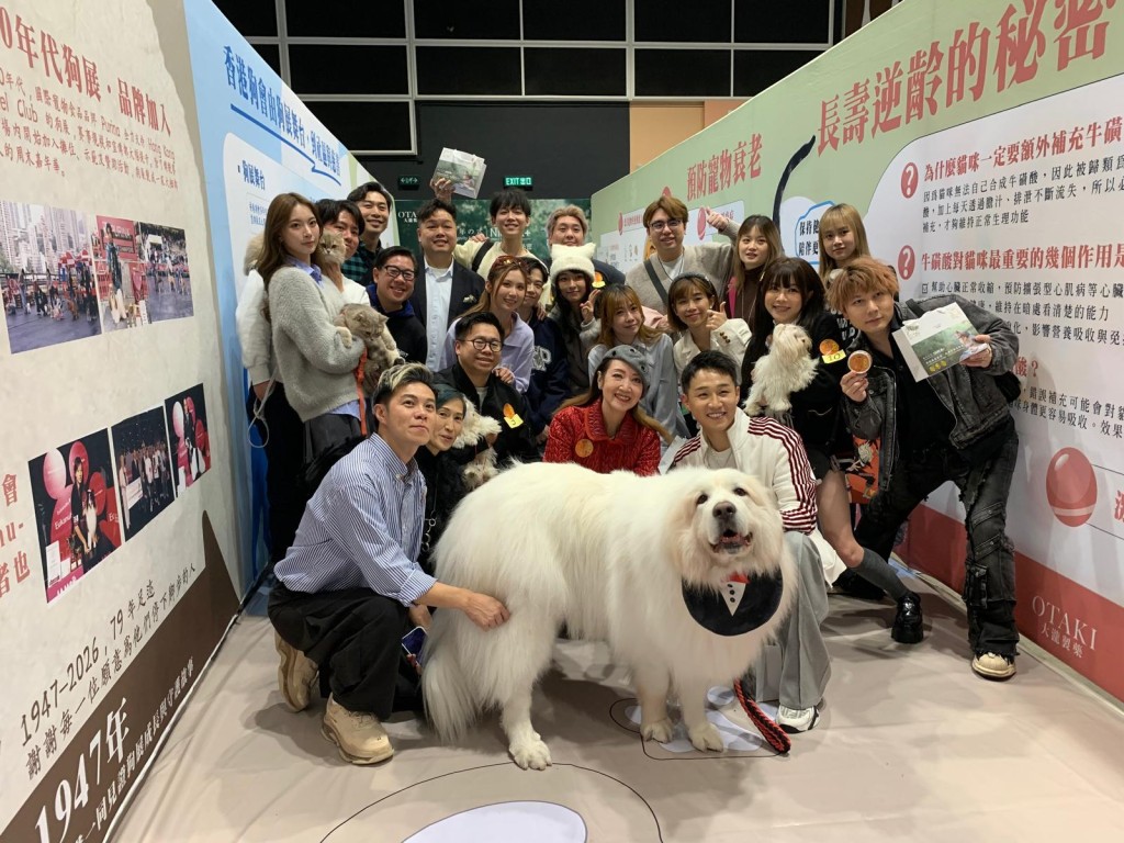 容天佑所養3歲大巨型大白熊犬豬兜獲得冠軍。