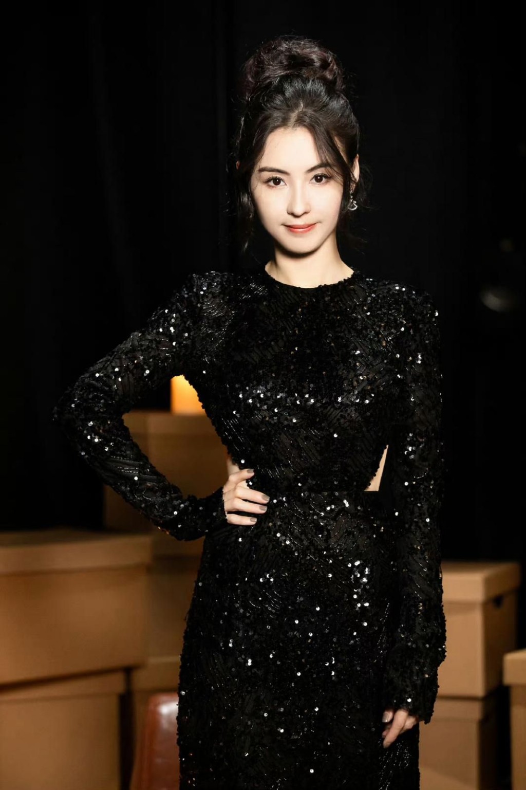 包括張栢芝捐100萬港元。