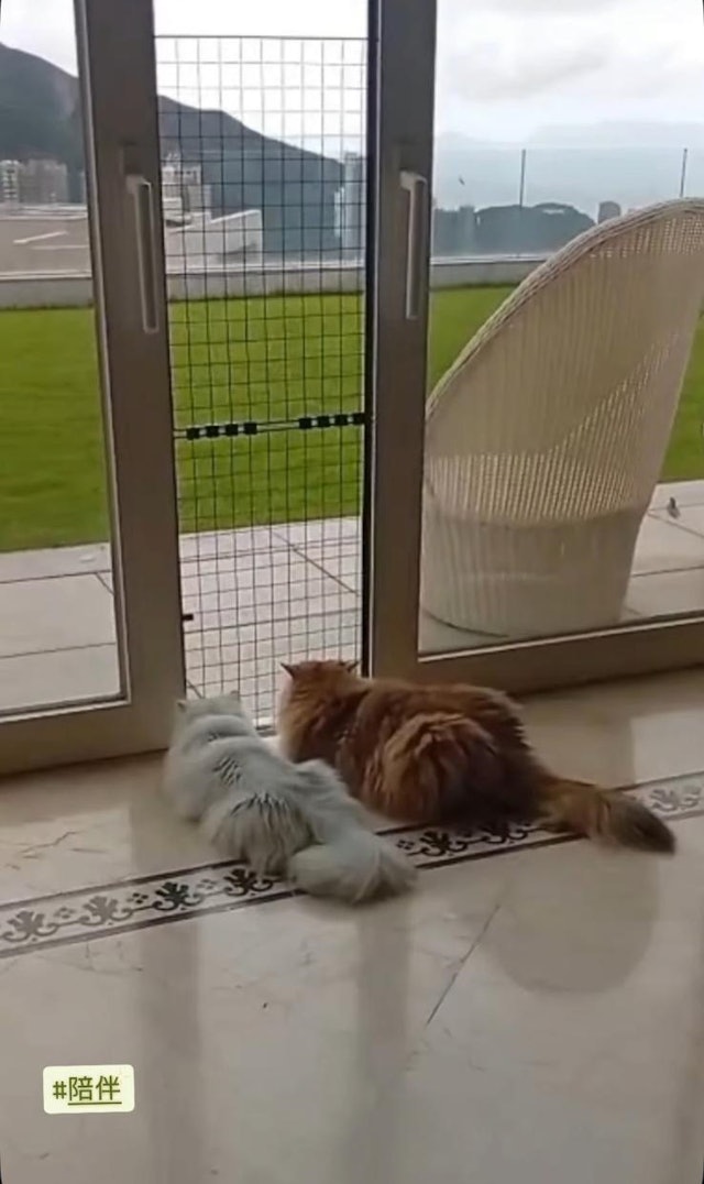 陳伶俐生活無憂。