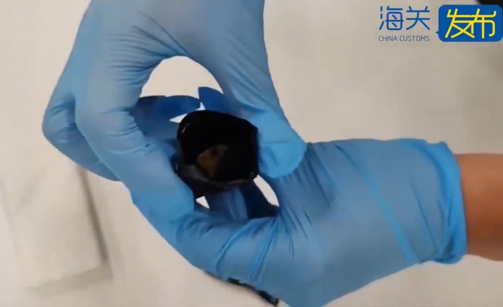 男子经西九龙站北上时被发现藏有大麻。