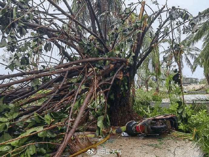 實拍摩羯過境後的海口。