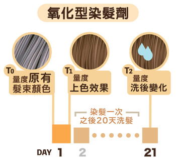 氧化型染髮劑在進行1次染髮後,會接着進行20天洗髮才測試其顏色持久度。消委會圖片 氧化型染髮劑在進行1次染髮後,會接着進行20天洗髮才測試其顏色持久度。消委會圖片