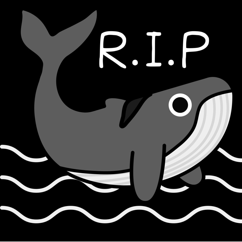 网民在网上悼念小鲸鱼。