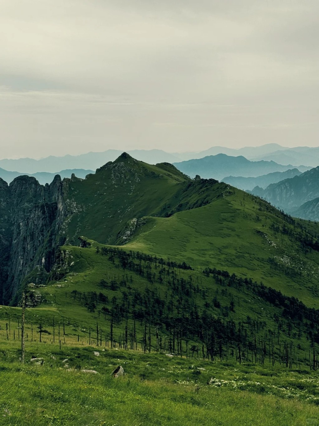 秦岭鹿角梁。