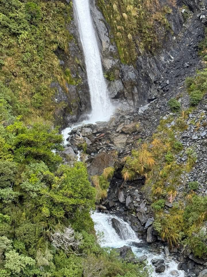 救援人員在莫莉（Molly）與主人最後待過的地方找到牠。 Precision Helicopters
