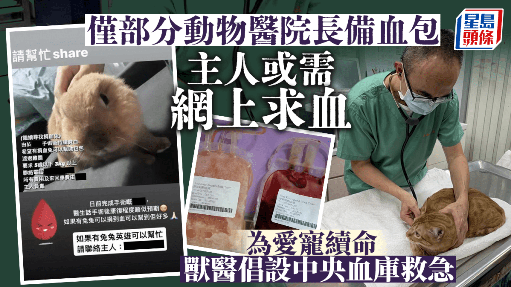 現時香港沒有寵物中央血庫,只有部分動物醫院或診所長期備有血包。