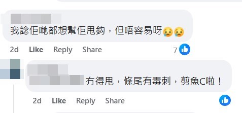 facebook截圖（資料來源：Ken Yu＠facebook筲箕灣西灣河關注組）