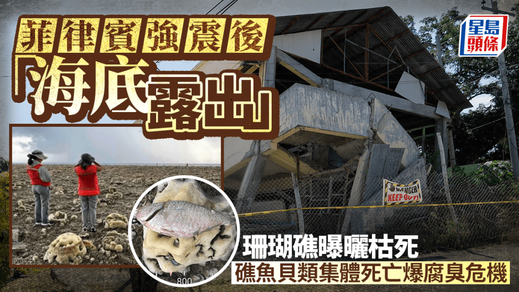 菲律賓南部強震後驚現「海底露出」 海床推高兩米大片珊瑚礁曝曬枯死