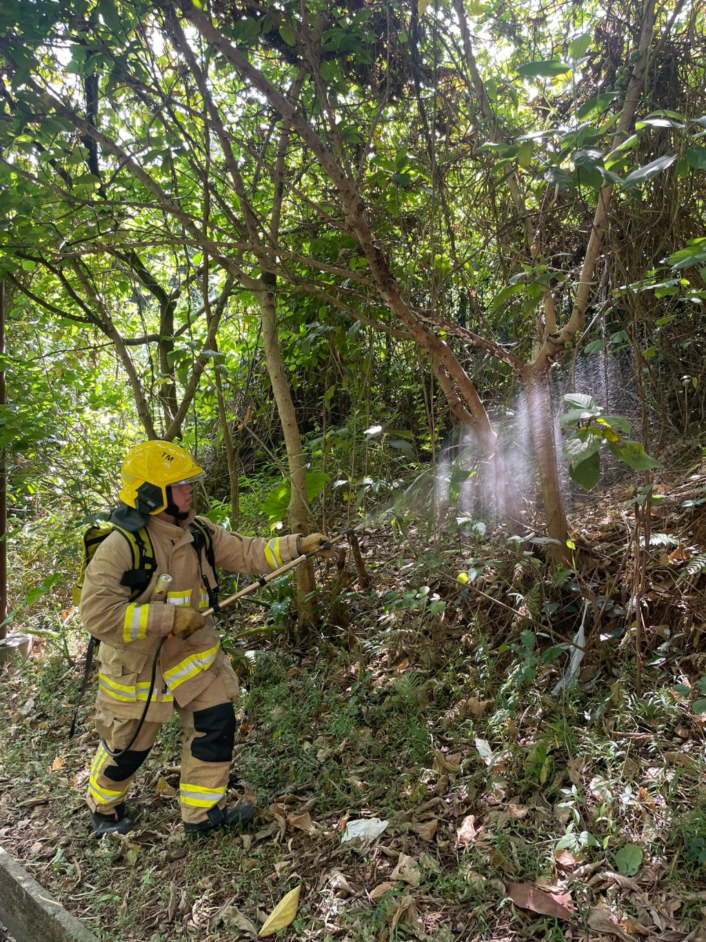 消防员向丛林洒水减低山火发生机会。消防处FB