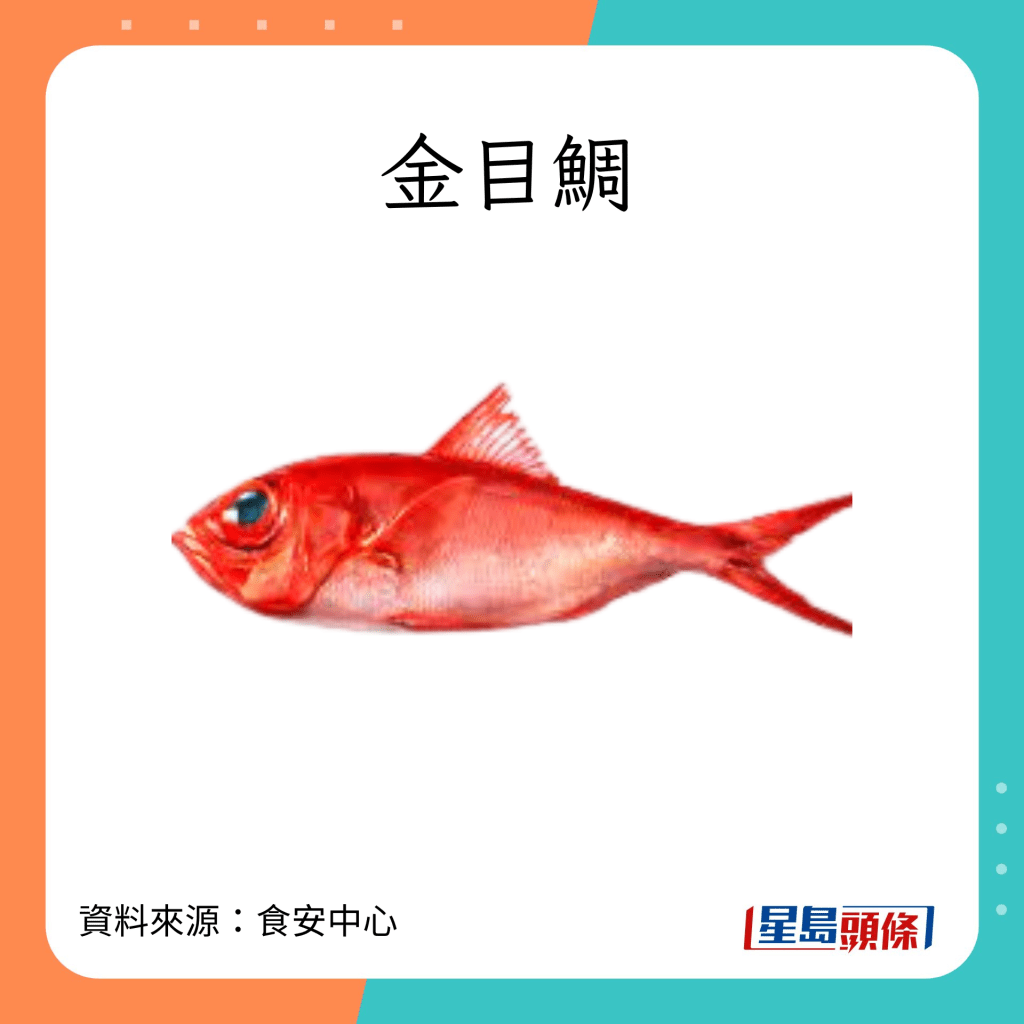 魚類水銀｜水銀含量較高、毒性高的魚類：金目錭