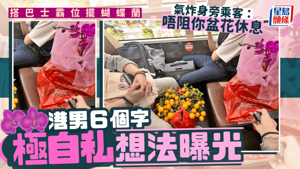 搭巴士霸位擺蝴蝶蘭 港男6個字暴露極自私想法 氣炸乘客：唔阻你盆花休息｜Juicy叮