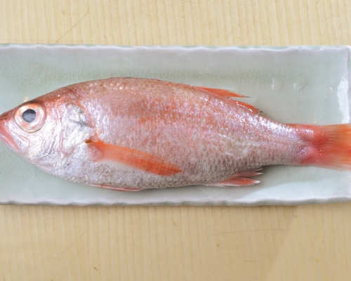 日本進口冷凍鯛魚樣本水銀含量超標。資料圖片