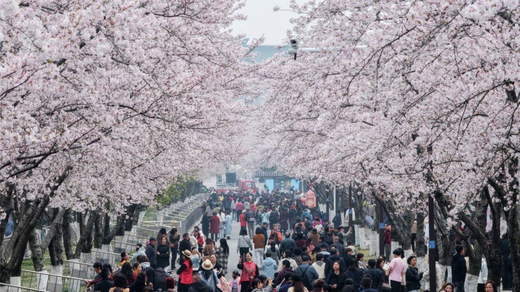 武漢在「清明黃金周」期間，預料會成為港人其中一個熱門景點。新華社