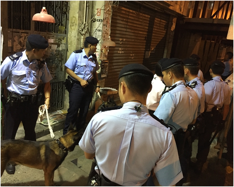 深水埗警區特別職務隊人員、反三合會行動組、分區特遣隊、警犬隊聯同機動部隊人員展開行動。