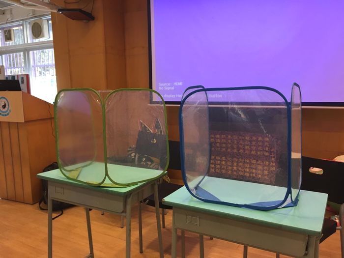 道教联合会云泉学校特意为每位学生购入「防飞沫屏档」,供他们上课、小息时使用,惟运输问题暂未送到学校。