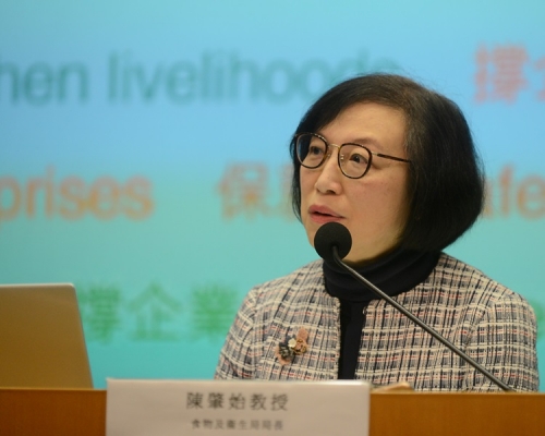 陳肇始指新一份財政預算案提出對醫管局的額外投放「算係咁」。