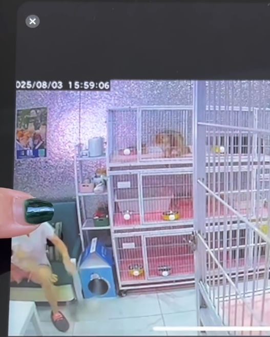 涉事女子聲稱心情不好才虐貓。抖音