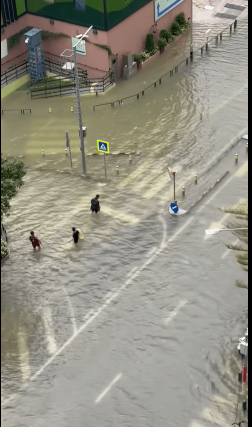 有澳門市民街道中捕魚，不少澳門人「趕海」成功，收穫滿滿。FB圖片