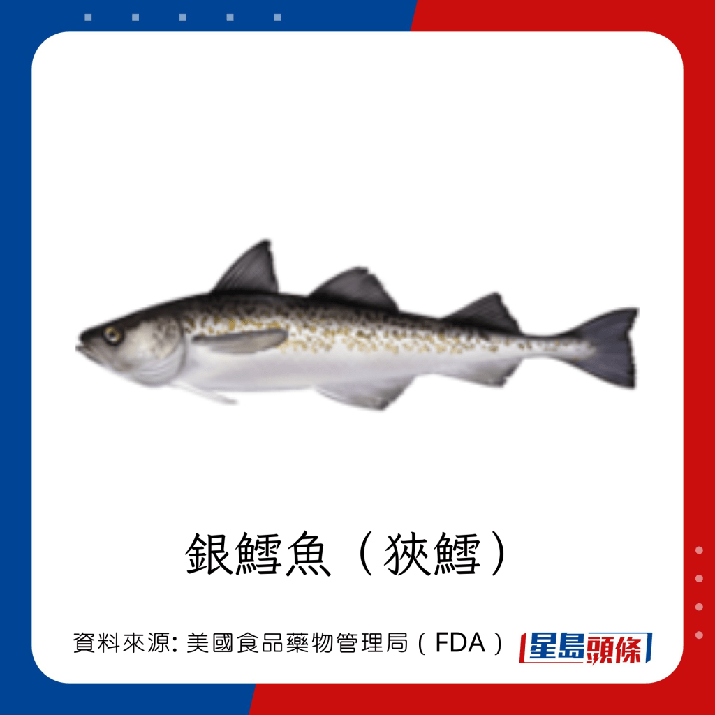 低水銀魚類 銀鱈魚（狹鱈）