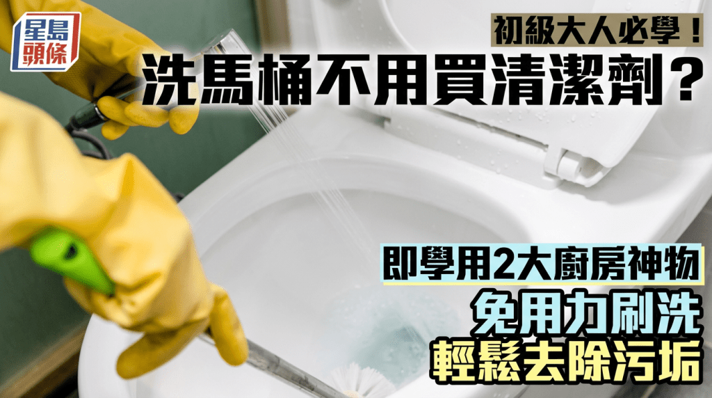 初級大人必學！洗馬桶不用買清潔劑？即學用2大廚房神物 免用力刷洗輕鬆去除污垢