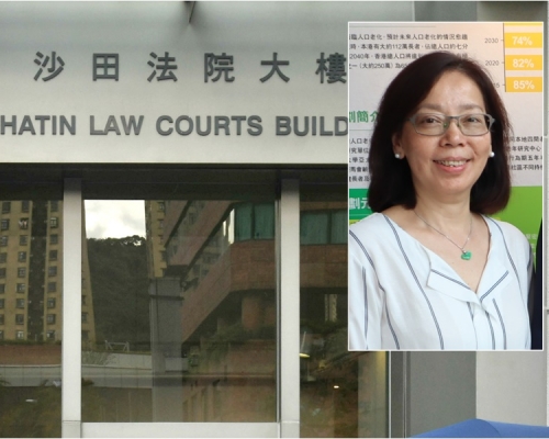 徐若萍（小圖）獲准保釋外出。資料圖片