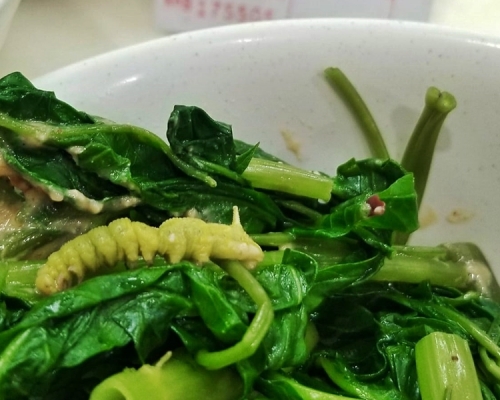 網民日前到灣仔一家雲吞麵店用膳,在一碗通菜中竟見到一條完整的毛蟲。「中伏飲食報料區」FB圖片