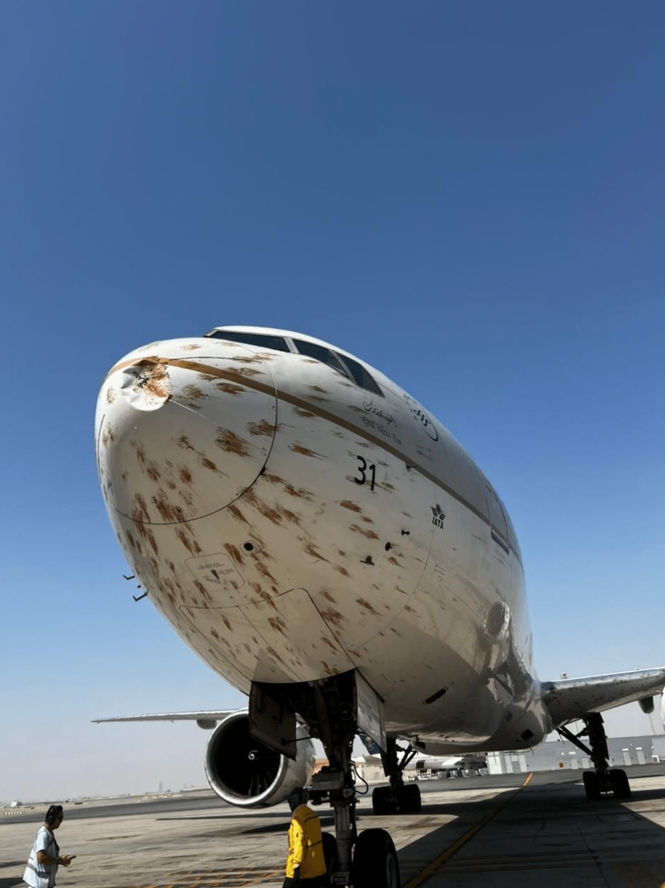 沙特阿拉伯航空公司一架波音777客機在阿爾及利亞起飛時與一群候鳥相撞，機頭與機翼瞬間被血跡覆蓋，場面駭人。X@Defense785/《今日俄羅斯》