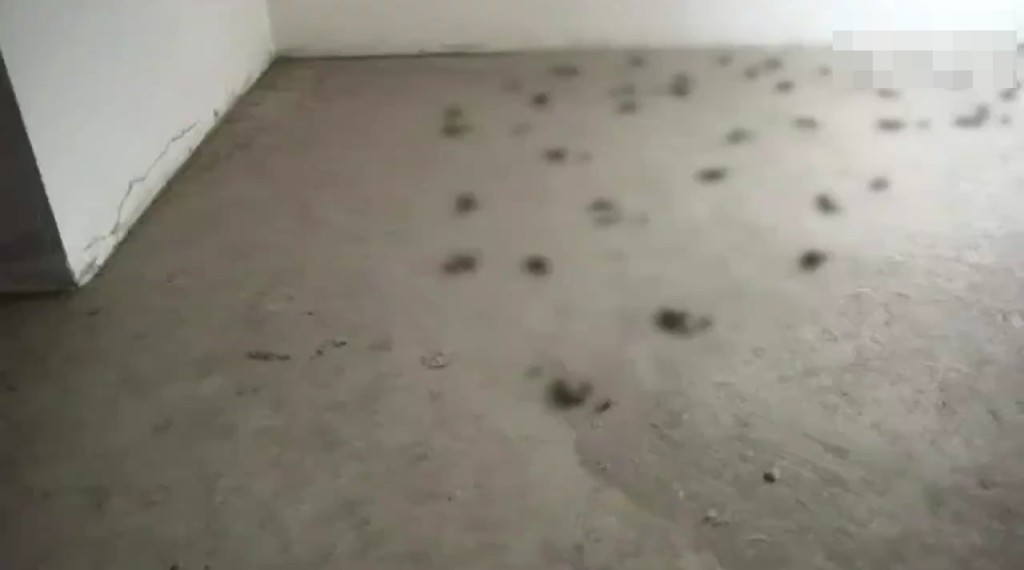 網圖