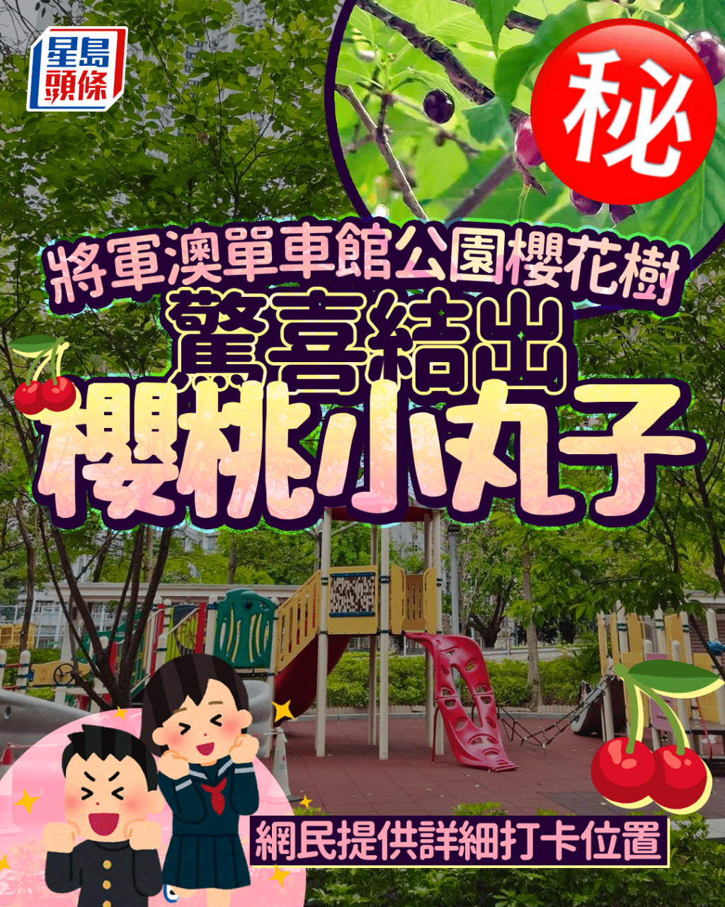 将军澳自行车馆公园樱花树 惊喜结出樱桃小丸子 网民提供详细打卡位置｜Juicy叮