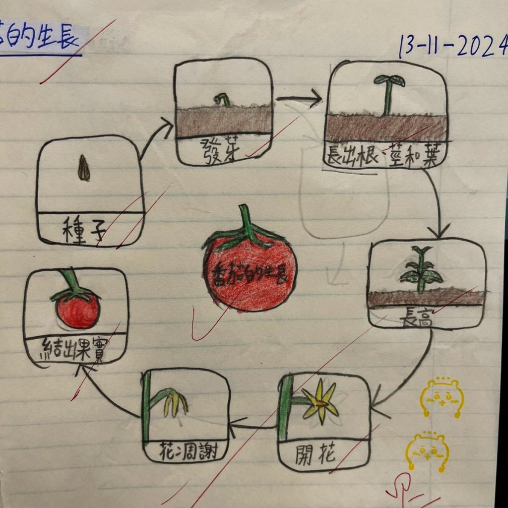 ​ E同學按自己的方式摘錄成筆記，有助於整理和重述所學內容的過程中，加深對知識的理解。（圖片來源：受訪學校提供）