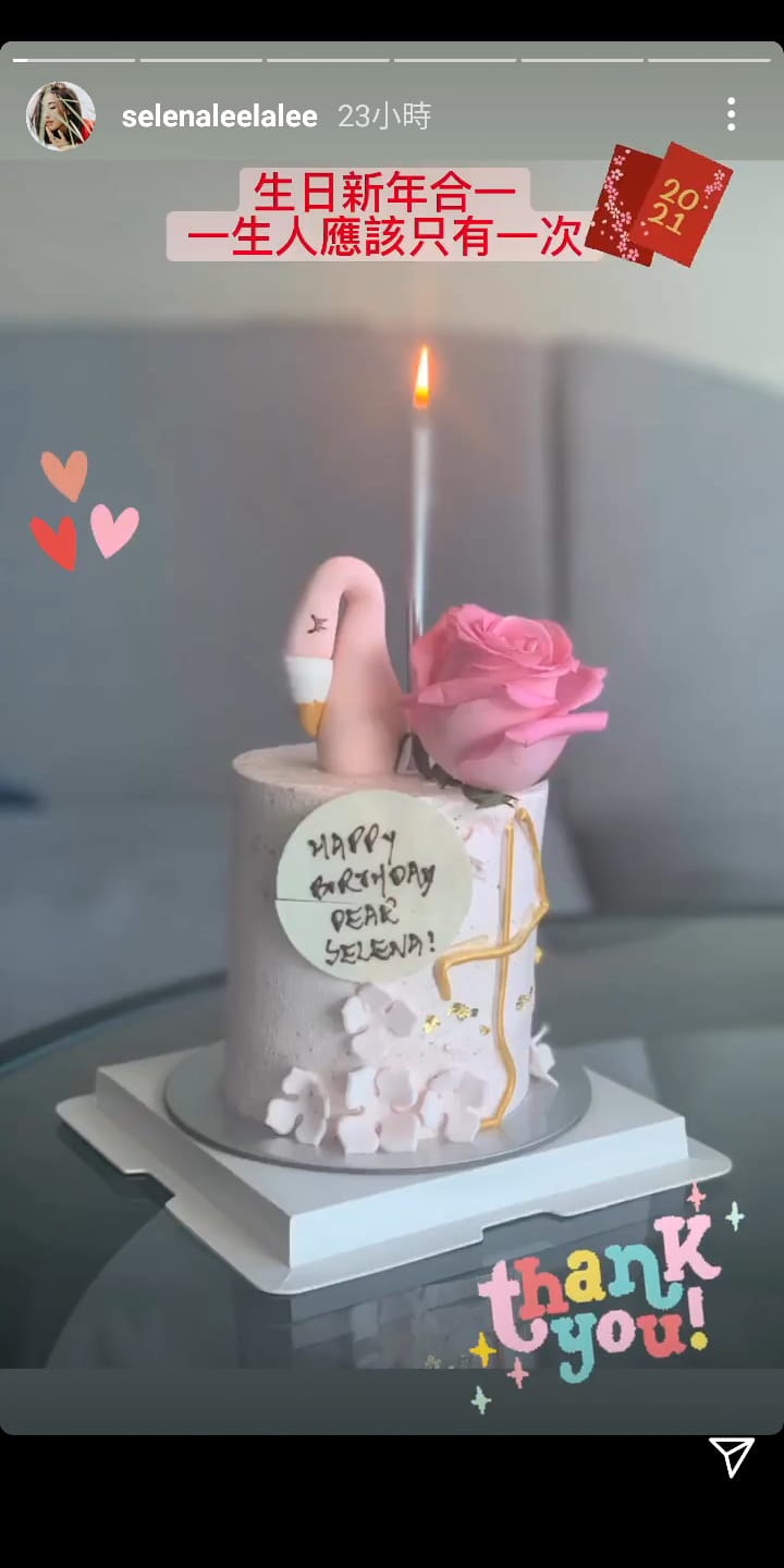 天鹅造型生日蛋糕。