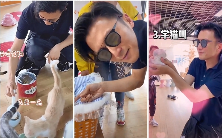 霆鋒去了探望貓貓！