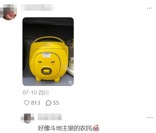 美的这款迷你电饭煲，引发热议。