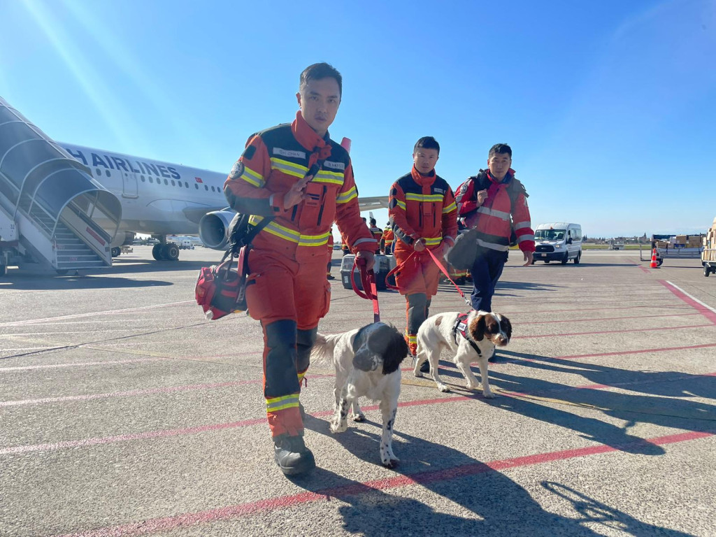 搜索犬成功協助特區救援隊在土耳其救出生還者。